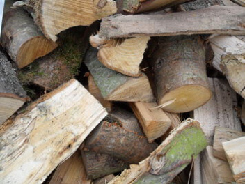 Firewood Banner 