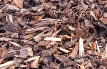 Bark Chippings 